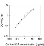 Canine SCF/KITLG ELISA Kit
