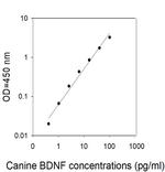 Canine BDNF ELISA Kit