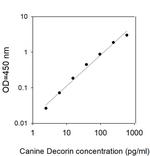 Canine/Human Decorin ELISA Kit