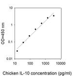 Chicken IL-10 ELISA Kit