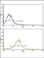 EDA Antibody in Flow Cytometry (Flow)