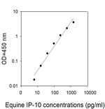 Equine IP-10/CXCL10 ELISA Kit
