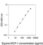 Equine MCP-1/CCL2 ELISA Kit
