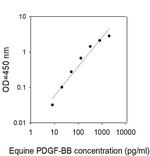 Equine/Human PDGF-BB ELISA Kit