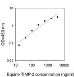 Equine/Human TIMP-2 ELISA Kit