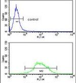 EEF1D Antibody in Flow Cytometry (Flow)