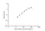 Mouse CGRP1 ELISA Kit