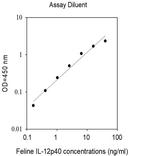 Feline IL-12p40 ELISA Kit