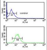 EFEMP2 Antibody in Flow Cytometry (Flow)