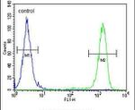 EFHB Antibody in Flow Cytometry (Flow)