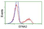 EFNA2 Antibody in Flow Cytometry (Flow)