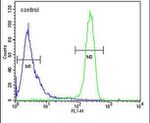 EFTUD1 Antibody in Flow Cytometry (Flow)