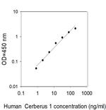 Human Cerberus 1 ELISA Kit