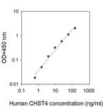 Human CHST4/GST-3 ELISA Kit