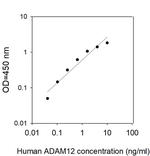 Human ADAM-12 ELISA Kit