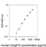 Human Coagulation Factor XI ELISA Kit