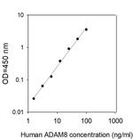 Human ADAM-8 ELISA Kit