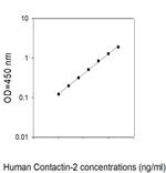 Human Contactin-2/TAG1 ELISA Kit