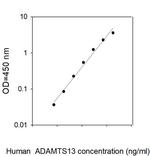 Human ADAMTS-13 ELISA Kit