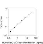 Human DC-SIGNR/CD299 ELISA Kit