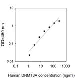 Human DNMT3A ELISA Kit