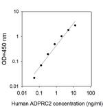 Human ADP-Ribosyl Cyclase 2 ELISA Kit