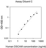 Human DSCAM ELISA Kit