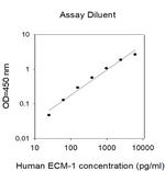 Human ECM-1 ELISA Kit