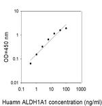 Human ALDH1A1 ELISA Kit