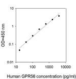 Human GPR56 ELISA Kit