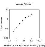 Human AMICA ELISA Kit