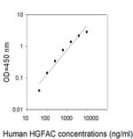 Human HGF Activator/HGFAC ELISA Kit