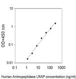 Human Aminopeptidase LRAP/ERAP2 ELISA Kit