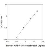 Human IGFBP-rp1/IGFBP-7 ELISA Kit