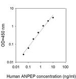 Human Aminopeptidase N/ANPEP ELISA Kit