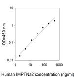 Human Importin alpha 2/KPNA2/SRP1-alpha ELISA Kit