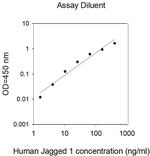 Human Jagged 1 ELISA Kit