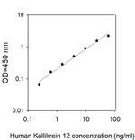 Human Kallikrein 12 ELISA Kit