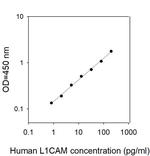 Human L1CAM ELISA Kit
