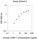 Human LAMP1/CD107a ELISA Kit
