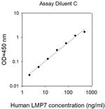 Human LMP7/PSMB8 ELISA Kit