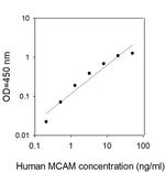 Human MCAM/CD146 ELISA Kit