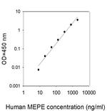 Human MEPE/OF45 ELISA Kit