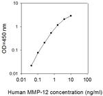 Human MMP-12 ELISA Kit