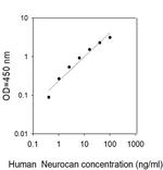 Human Neurocan ELISA Kit