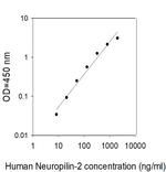 Human Neuropilin-2 ELISA Kit