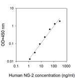 Human NG-2 ELISA Kit