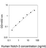 Human Notch-3 ELISA Kit