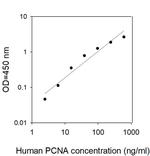 Human PCNA ELISA Kit