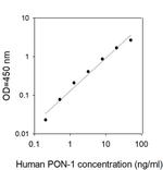 Human PON1 ELISA Kit